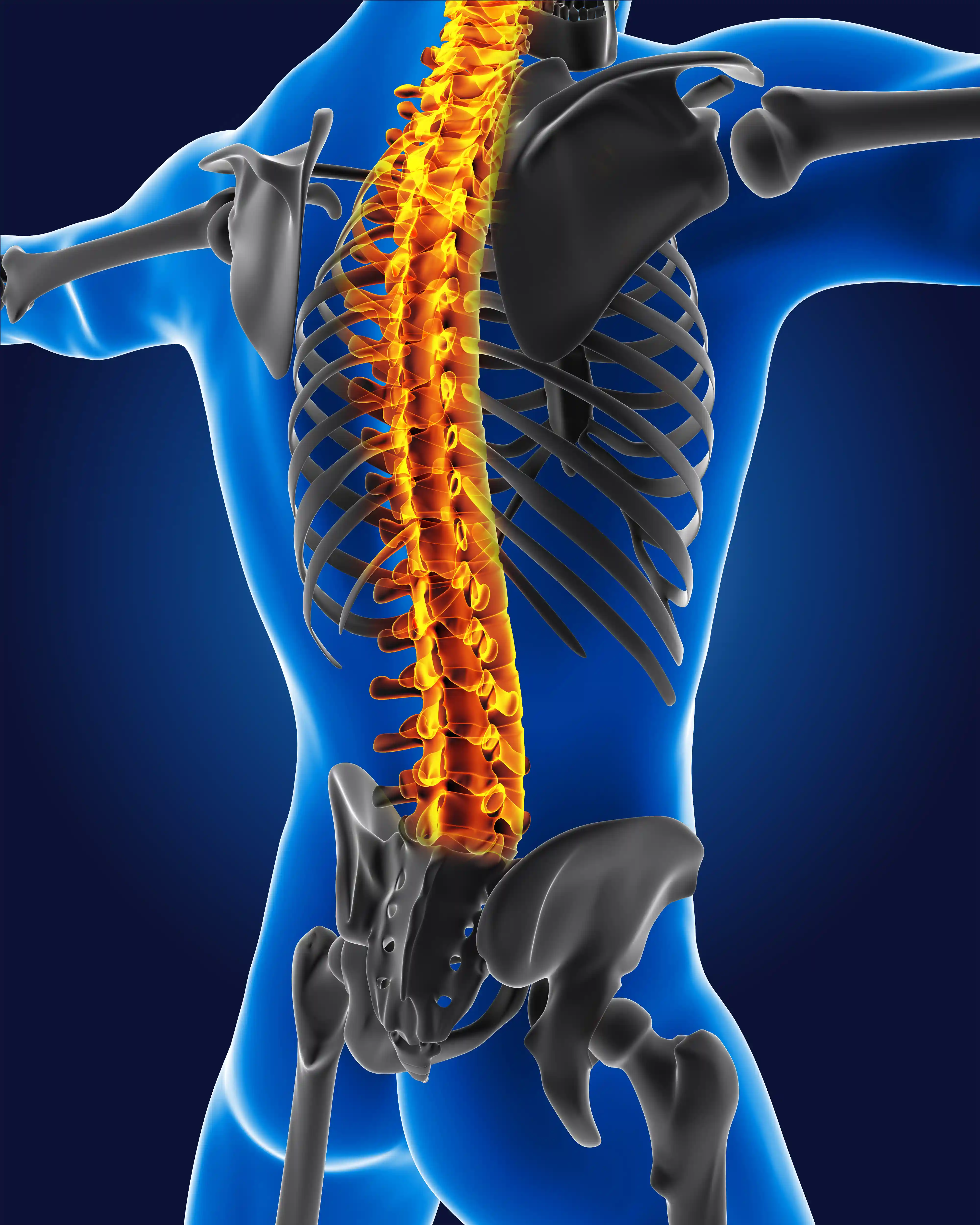 Spine Care